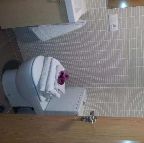 Apartamentos San Isidro 44 Granada Eksteriør billede