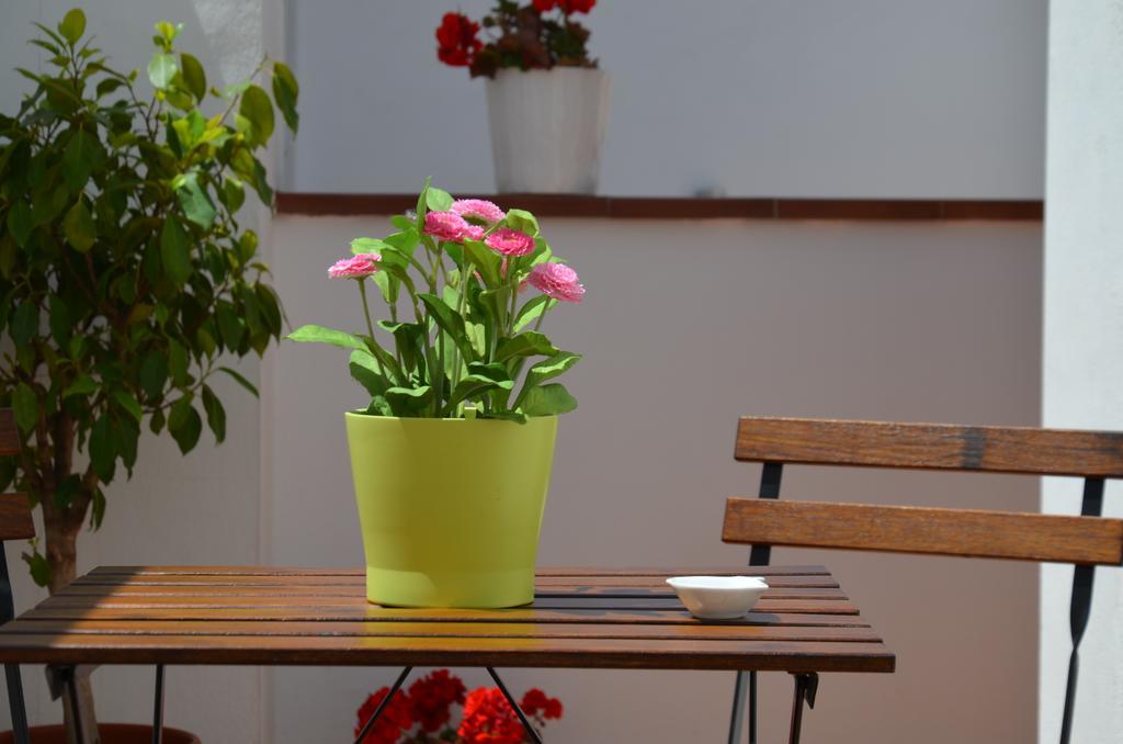 Apartamentos San Isidro 44 Granada Eksteriør billede
